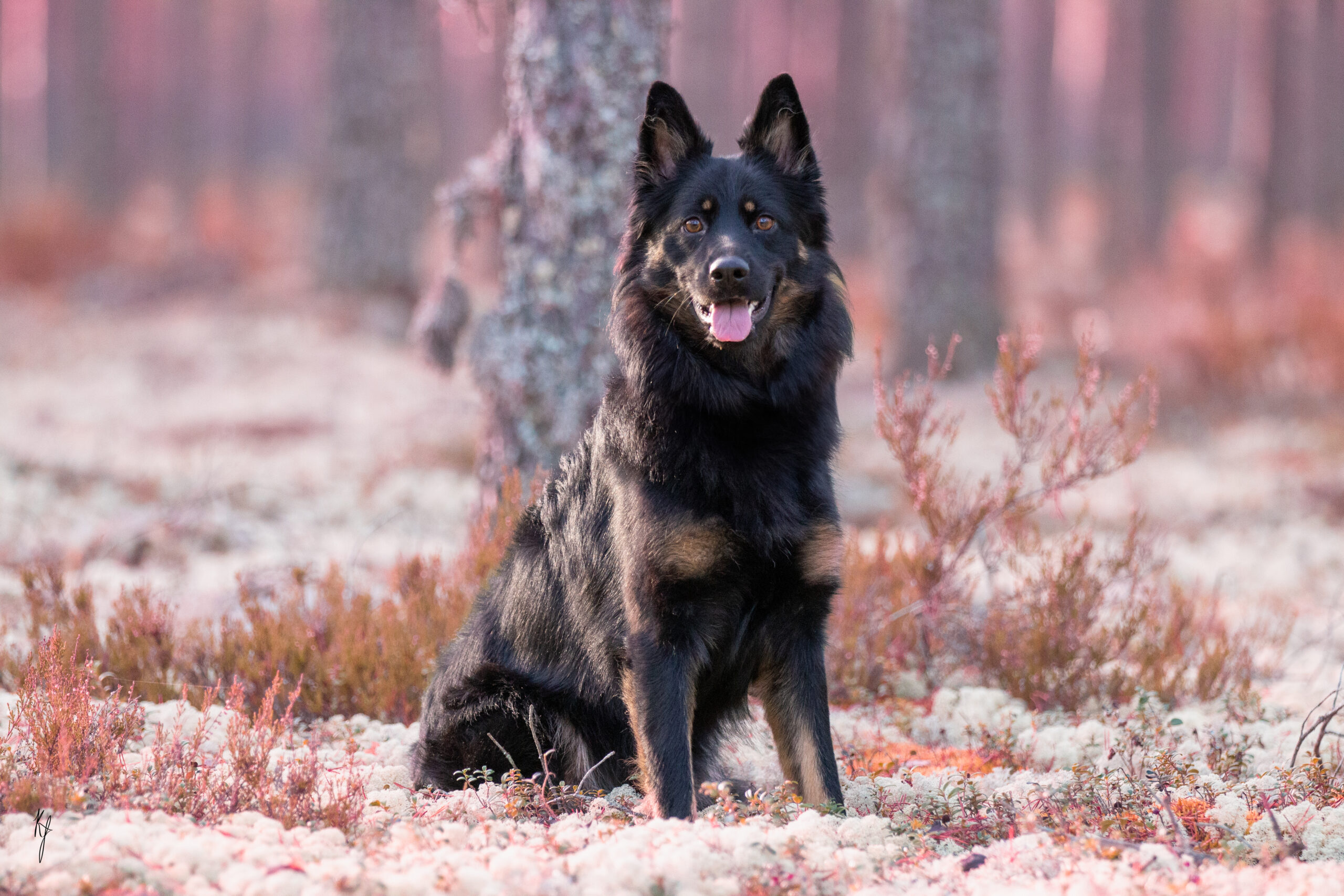 Tupla täytti vuoden